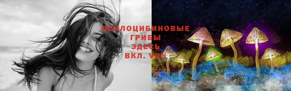 apvp Алексин