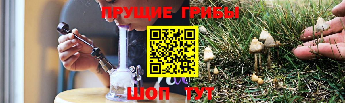 Сатка  Галлюциногенные грибы Magic Shrooms  Вход с VPN  Галлюциногенные грибы ЛСД 