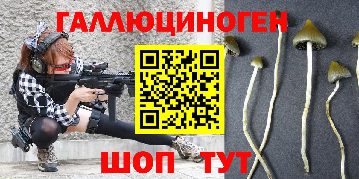 Галлюциногенные грибы Cubensis Сатка